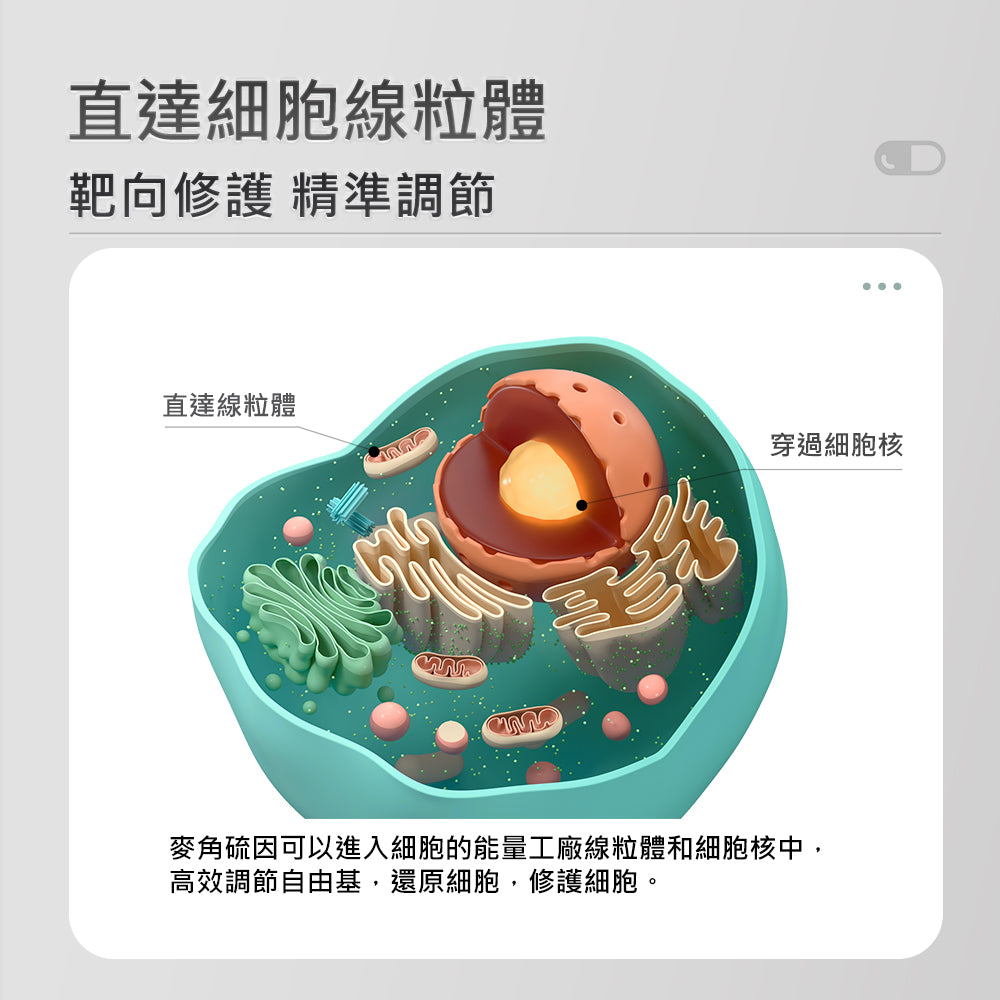 【GeneIII】麥角硫因純素膠囊 30mg EGT 60粒