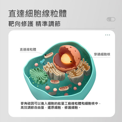 【GeneIII】麥角硫因純素膠囊 30mg EGT 60粒