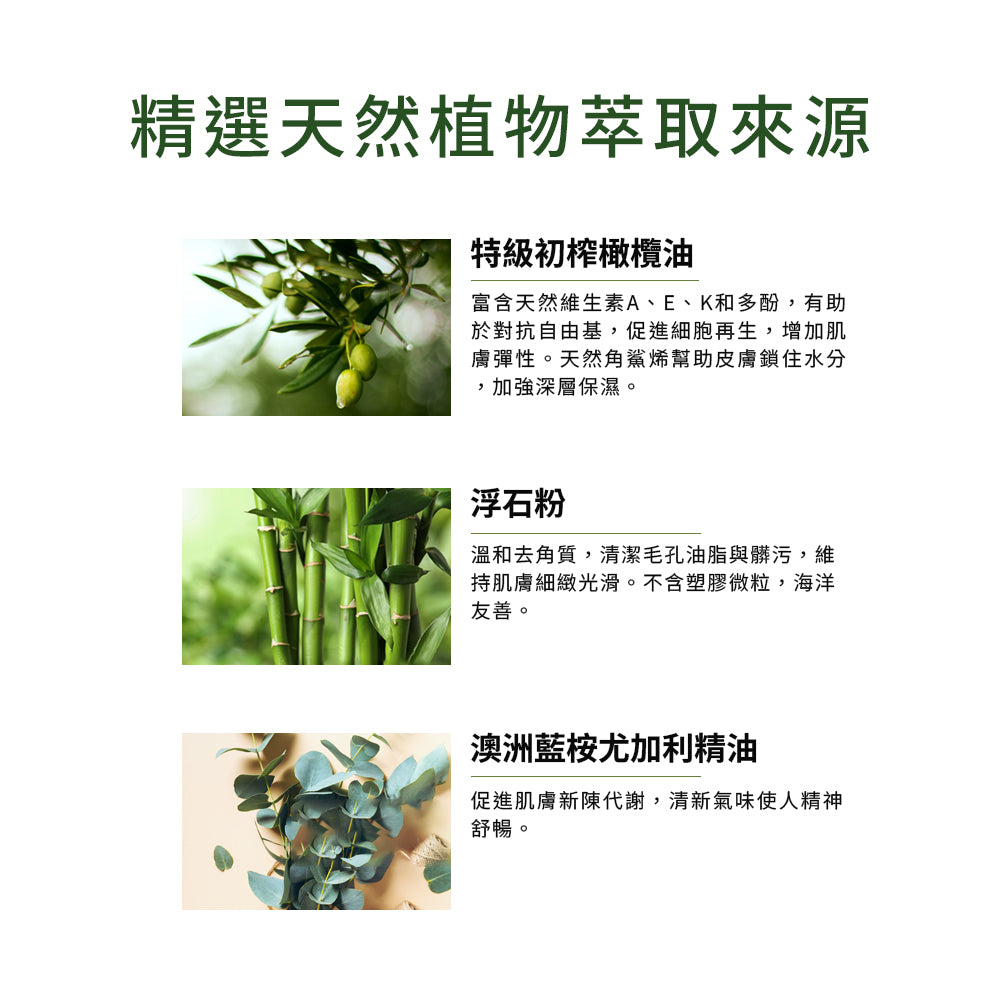 【Olive Oil Skincare】藍桉尤加利洗手露 500ml