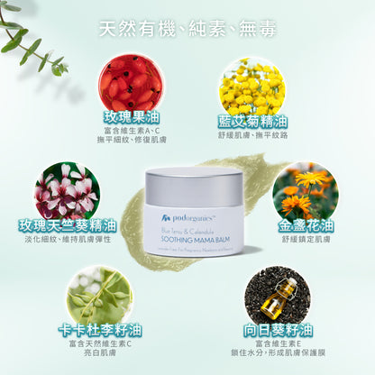 植萃藍艾菊哺育修護膏